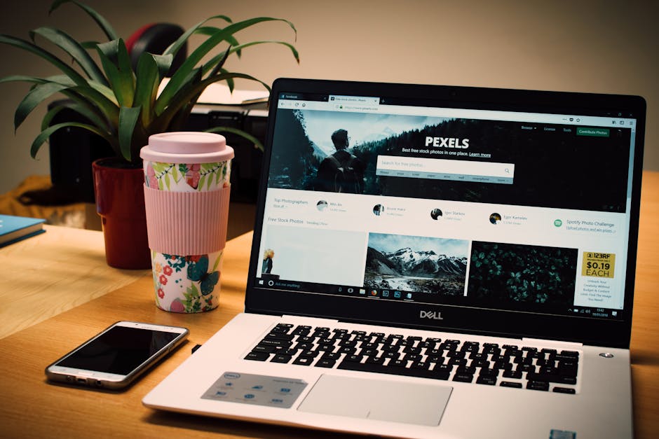 On-Page SEO Essentials: 15 Things Every Page Needs